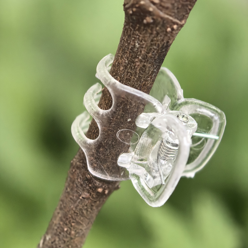 50 stk. klare orkidéklemmer for blomsterstøtte